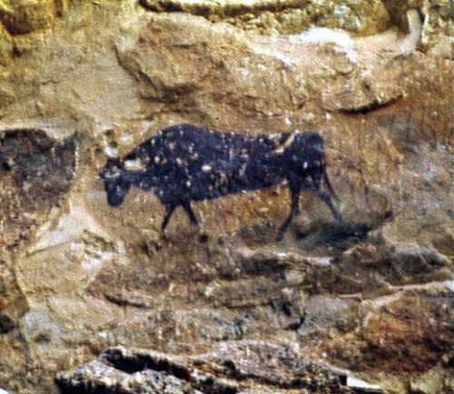 Abrigo del Torico del Pudial