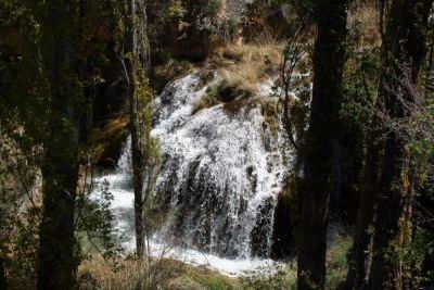 amanaderos